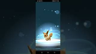 Evolution Eevee Vaporeon Again