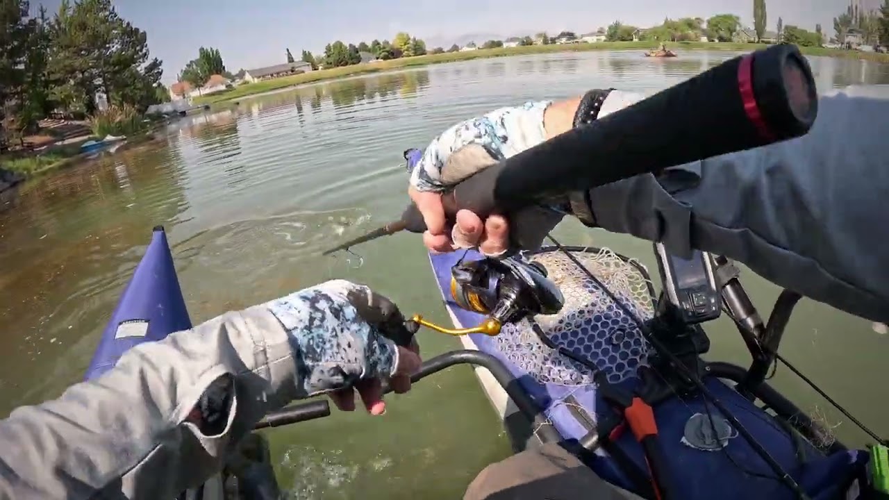 Skipping Docks for Bass
