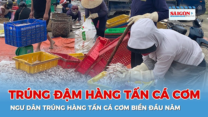 Biển khu dân cư tốc độ bao nhiêu