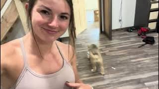 Update on Life & the New House! I GOT A NEW PUPPY!!