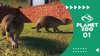 Planet Zoo Franchise  Building the Foundation (Part 1)