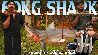 60Kg GIANT SHARK 65 Biriyani | Whole Shark Fry | Shark Biriyani |