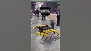 NYPD gets a robot dog cop #shorts