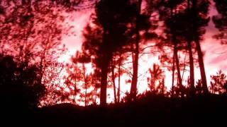 Nujabes - Beyond