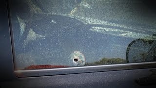 Celebrity 911 Calls Reveal Terrifying Moments in Phoenix After Cars Had Been Shot Profile