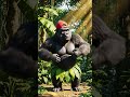 Untitled #funny #comedy
