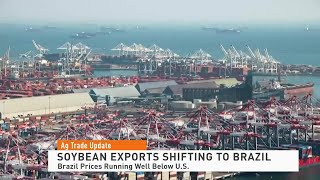 Trade Gap: Soybean Exports Shifting to Brazil