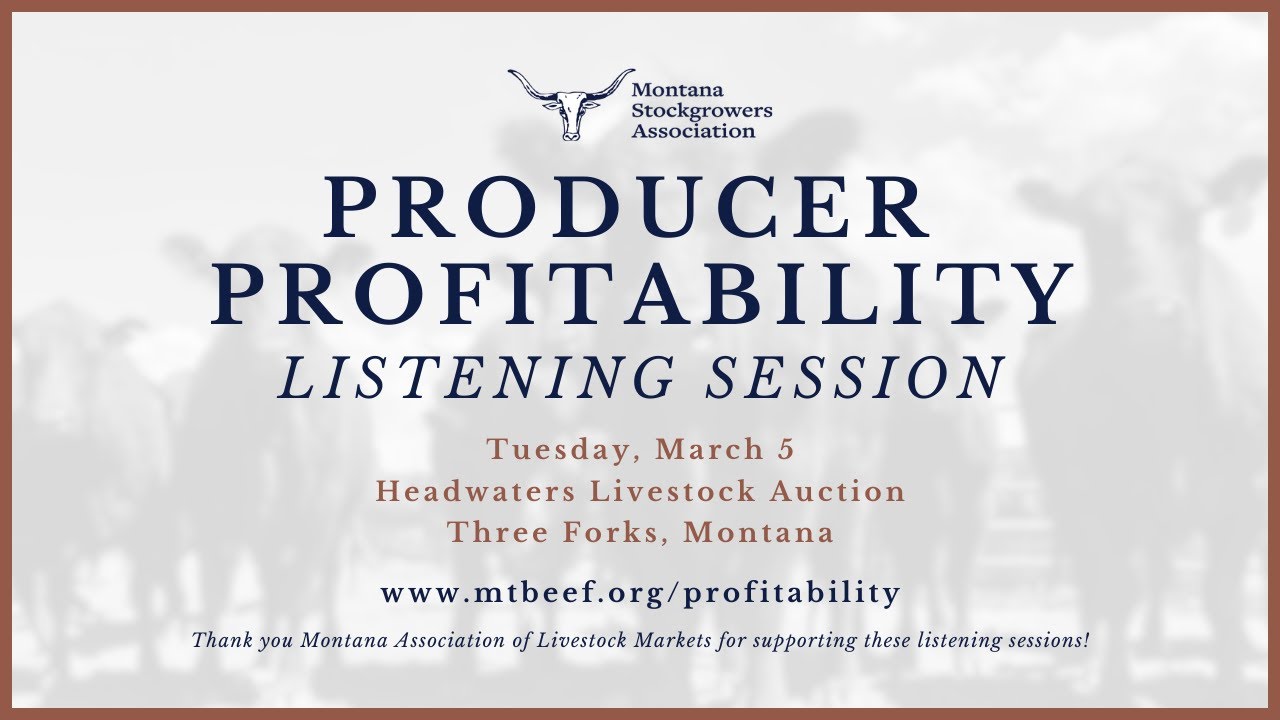Producer Profitability Listening Session | Headwaters Livestock Auction