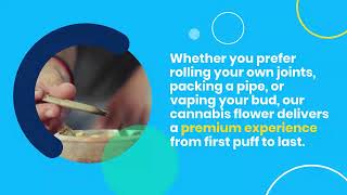 Experience the Difference with High Quality Cannabis Flower at Cornerstone Wellness