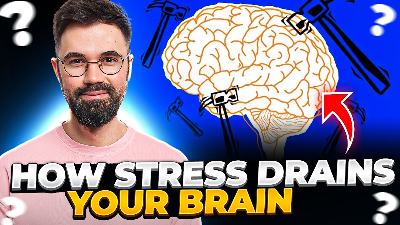 How Stress Drains Your Brain and What to Do About It