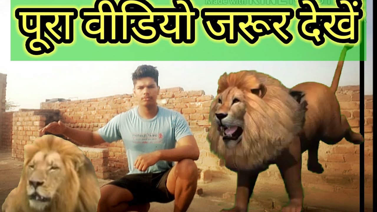 How To Transform Into Lion Effect New Kinemaster Editing Tutorial Heavy Editing In Android