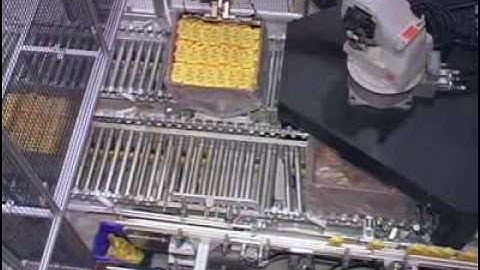 Motoman Robots Packing Bottles Dual Conveyors