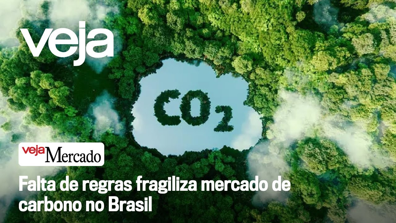 Falta de regras fragiliza mercado de carbono no Brasil