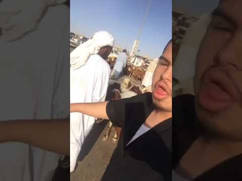 ٢ يوليو ٢٠١٩