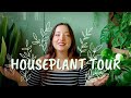 Plant obsession  houseplant tour of a crazy plant lady