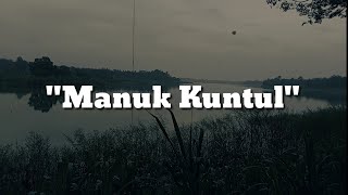 Story WA Bahasa Jawa : Belajarlah dari Manuk Kuntul