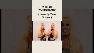 Winter Wonderland Christmas Cover By Twin Sisters