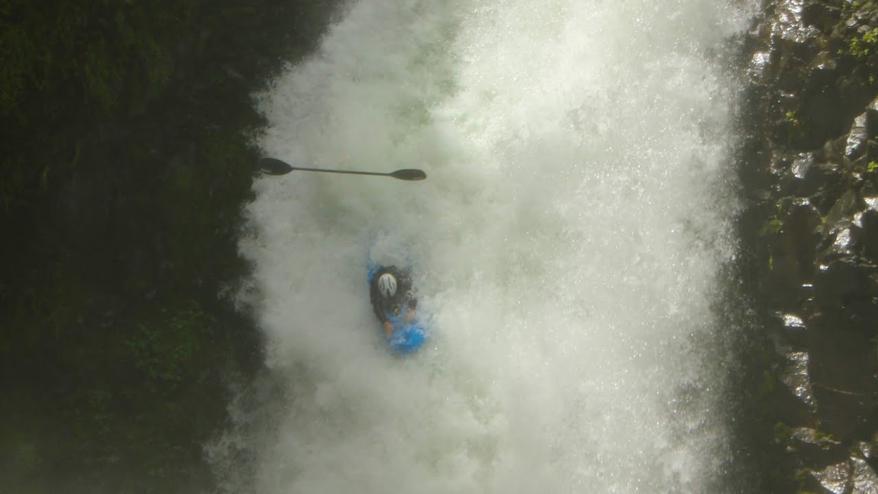 Chile 2019 Exo T-Rex