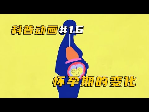 动画详解女性怀孕过程，看着让人心疼，看完感慨女性伟大！