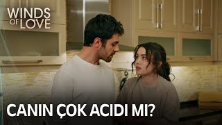 Zeynep, Halil'i yakınca telaşlanıyor | Rüzgarlı Tepe 53. Bölüm