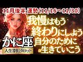 【♋蟹座さん💖11月後半運勢】〈もうしんどいことは手放そう👐自分の仕事を周りの人に共有して大丈夫😊自己犠牲をやめて自分の為に生きて👍〉 人生幸転タロットリーディング 占い かに座 太陽星座・月星座