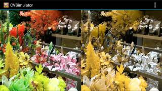 Colorblind simulation deutan enchroma