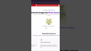 Convert image into a pearl bead pattern #beads #pixel #illustration