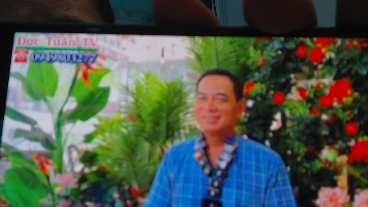 Mời cô chú anh chi xem thợ mỏ đi tuyển vợ