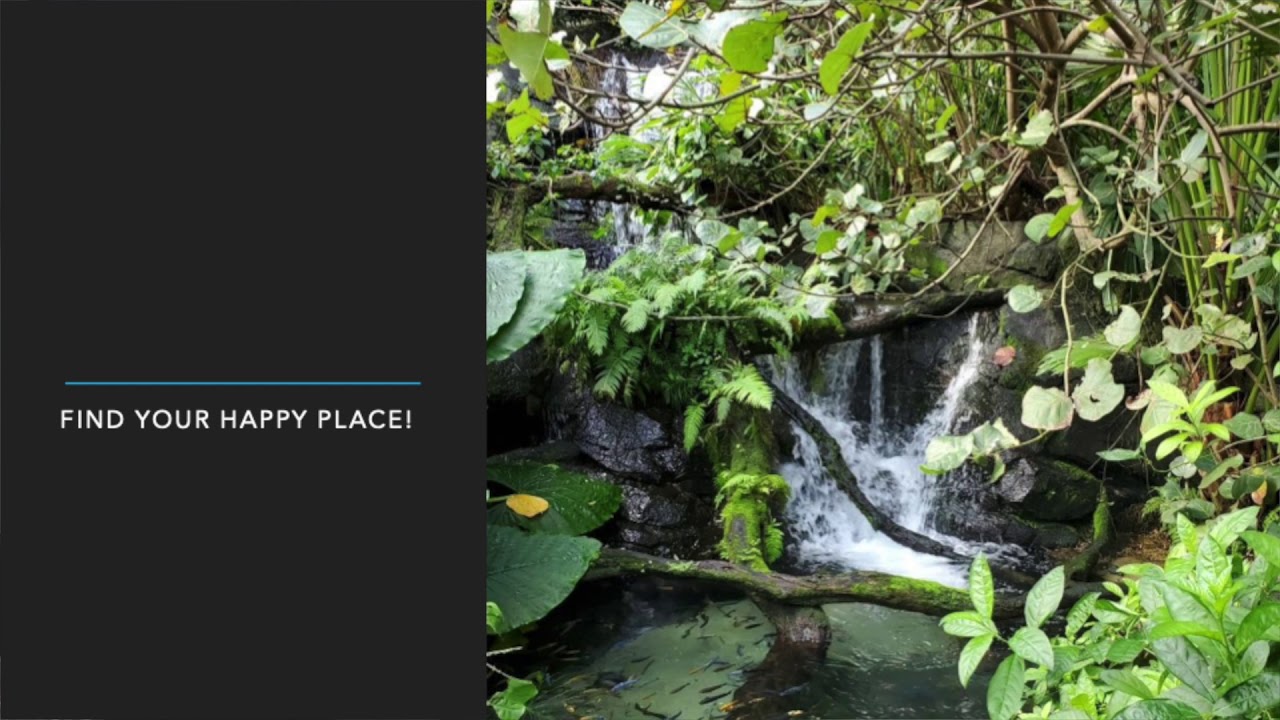 Meditation with The Bradley Hall | Week 5