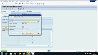 SAP ABAP - Lock Objects part1