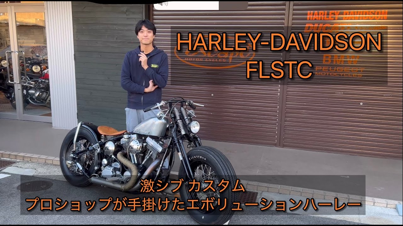 Custom Harley] A truly cool custom FLSTC Heritage Softail Classic 