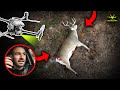 Most insane drone deer recovery morning ever not clickbait