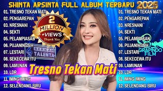 TRESNO TEKAN MATI - NDX VERSION PENGAREPAN - SHINTA ARSINTA FULL ALBUM TERBARU 2025