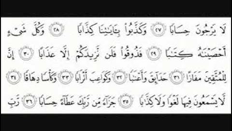 سورة النبأ -الشيخ ثامر العامر.flv