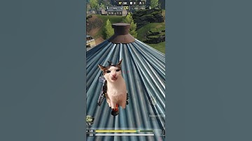Meow camping in farm part 02 #codmobile #callofdutymobile ##codm 