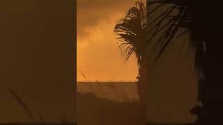 Famous Wild footage captured from a nearby restaurant shows tonight s explosion from a distance Wealth