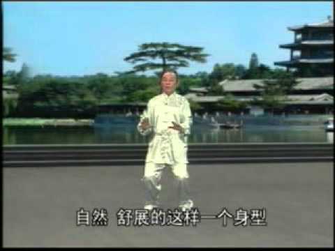 16式太極拳 Youtube