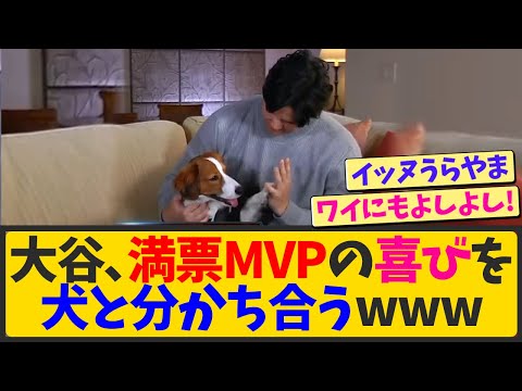 【史上初】大谷翔平、満票MVP受賞の喜びを犬と分かち合うwwwww【なんJ反応 まとめ】【2ch 5ch】