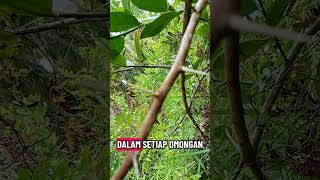 intinya berhati hati lah selalu dalam berbicara kepada sesamau jangan sampai melukai hatinya