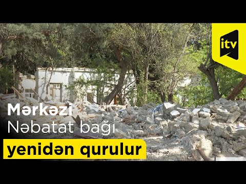 Video: Kuper bağı harada yerləşir?