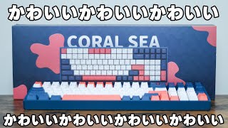 【日本初上陸キーボード】見ても可愛い、使っても可愛い、それすなわちゲーミングキーボードとして強い。