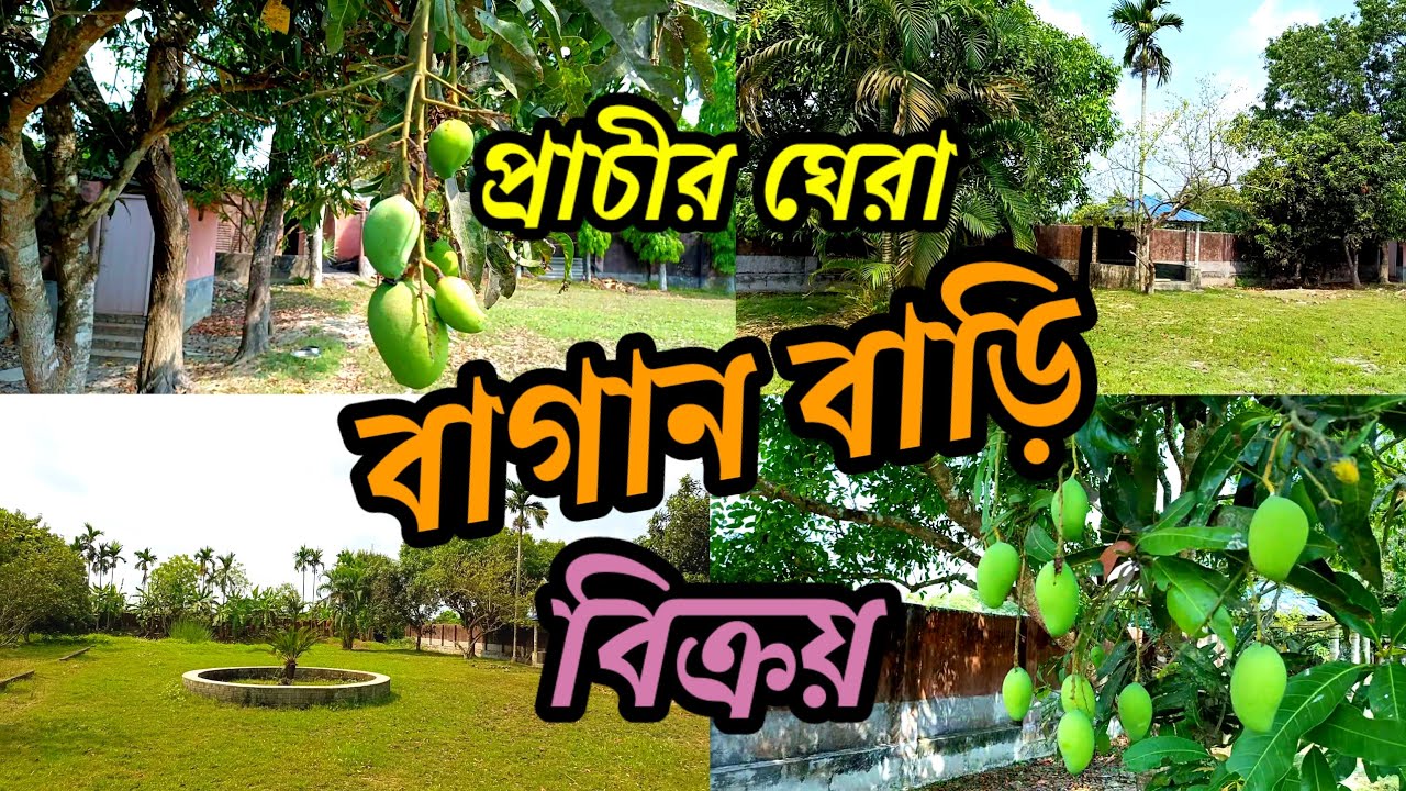 20 fit পিচ রাস্তার পাশে, প্রাচীর ঘেরা ,বাগানবাড়ি বিক্রয় /Low price garden sale .