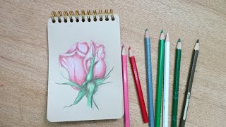How To Draw A Rose Step-by-step Real Time drawing Tutorial تعليم رسم وردة بالخطوات بدون تسريع
