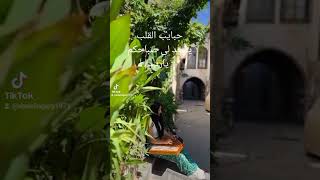 صباحكم رواق (موسيقى شرقيه اصيله )