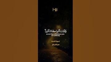 القارئ |عمر النبراوي #قرآن #تلاوات #استوديو_رمز_الأخيار