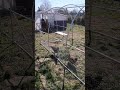 Bezpieczny wybieg dla kur 25m2 za 900 zł .Zrób sam.