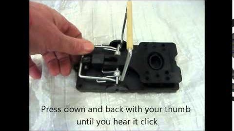 TrapMan easy set rat trap setting