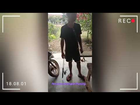 mancing-ikan-lais-di-sungai-kungku-#reko-helmansyah