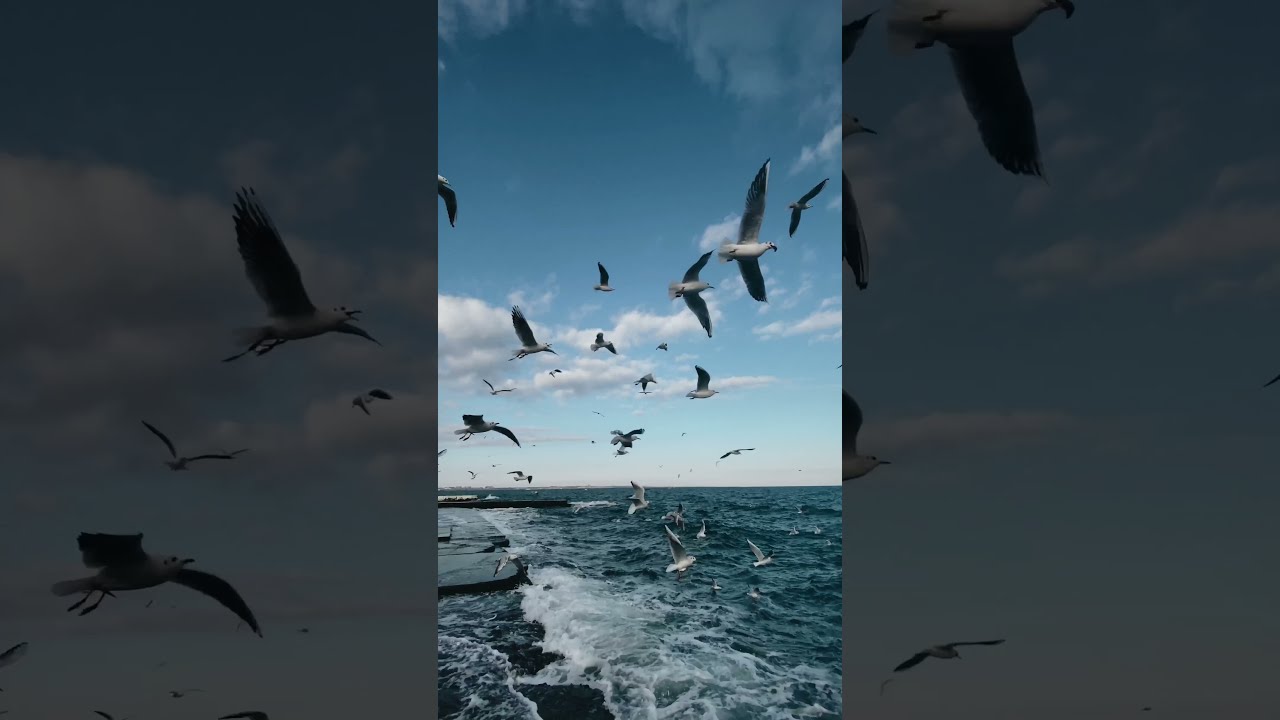 mind relaxing 20 - youtube