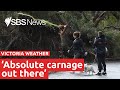 Thousands without power as extreme weather tears through Victoria | SBS News